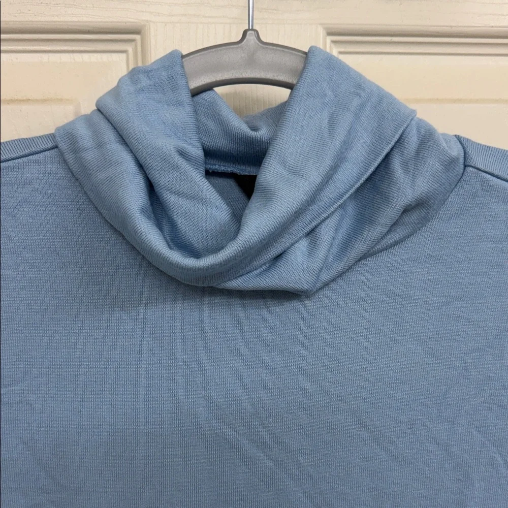 Banana Republic Soft Luxe Turtleneck Long Sleeve in Natural Blue: XS